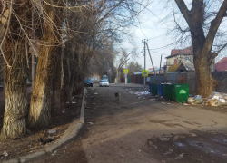 Жители посёлка Свободный жалуются на обилие мусора вблизи собственных домов