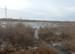 Сточные воды растеклись на 80 000 «квадратов» вблизи села под Астраханью