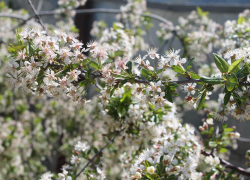 Прогноз погоды, именины, праздники в Астрахани во вторник 25 апреля