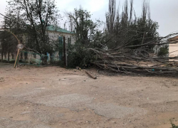 Маленькая астраханка, пострадавшая от пыльной бури, получила инвалидность