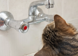 Несколько улиц в Советском районе Астрахани остались без горячей воды