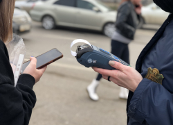 Трое астраханцев не смогли доехать до дома поспать спокойно, не заплатив налоги