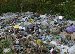 На сельхозугодиях Астраханской области обнаружены очаги отходов и навоза