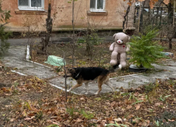 Астраханский суд отказался менять приговор руководству скандального приюта