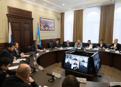 Астраханская служба ветеринарии опровергла слухи о заразных сайгаках