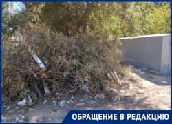 Жители Трусовского района Астрахани жалуются на горы сухих веток