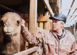 Астраханский фермер планирует вывести шубат на международный рынок