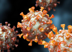 За 10 октября в Астраханской области выявлен 31 случай заражения COVID-19