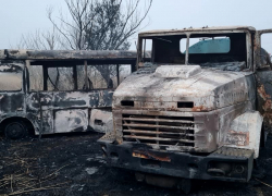 В Астраханской области кони спровоцировали крупное ДТП