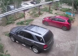 Кадры не для слабонервных: на маленькую астраханку напали собаки