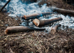 Астраханец до смерти избил приятеля бревном
