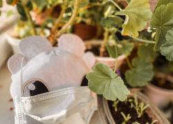 В Астраханской области за сутки COVID-19 заразились 175 человек