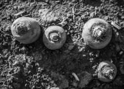 Под Астраханью любительский футбольный матч закончился трагедией