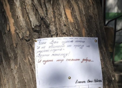 Астраханцы не оценили акцию в память погибшей девочки
