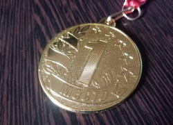 В Астраханской области на дешевую медаль поймали серийного вора