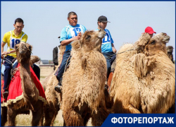 Верблюжьи скачки и национальная борьба: астраханцы отметили Сабантуй