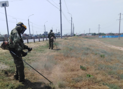 С начала года в Астрахани скосили более ста гектаров сорной травы