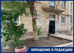 «Это не природа, это квартира»: как живут астраханцы в Военном городке