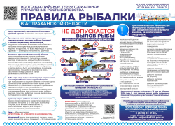 В Астраханской области введут нерестовый запрет: что это значит