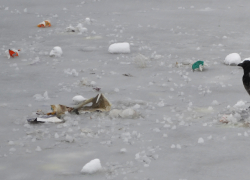 Под Астраханью погиб 41-летний мужчина, провалившись под лёд на мопеде