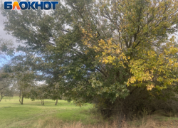 Погода, праздники, именины в среду 18 октября