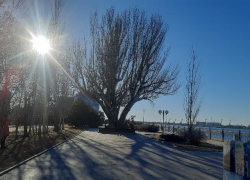 В последнее воскресенье января в Астрахани будет до +6: прогноз на 29 января