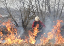 В Астрахани 18 пожарных тушили четыре здания и сухостой