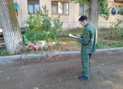 В смерти астраханки от упавшего дерева обвинили директора управляющей компании