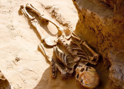 Астраханцы увидели плохой знак в раскопках могилы сарматского воина