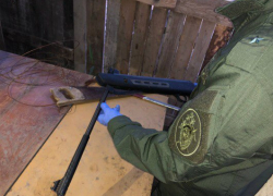 В Астрахани работник фермы убил коллегу из пневматики и сядет в колонию 