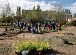 Названо количество астраханцев, принимавших участие в месячнике чистоты 