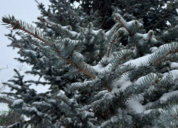 В Астраханской области прогнозируют рост ДТП из-за надвигающихся осадков
