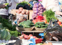 В Астрахани открыли 34 площадки «Зеленых рядов»