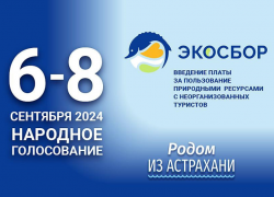 Астраханцы смогут проголосовать за экосбор на выборах губернатора