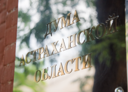 Российское правительство поддержало инициативу Думы Астраханской области