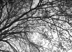 Грибники нашли останки человека под Астраханью