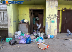 Выбрасывали и будем выбрасывать: астраханцы заявили, что будут подбрасывать мусор соседям