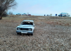 Четыре человека пострадали в ДТП под Астраханью из-за лошади 