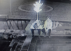 Гулявшие ночью астраханские подростки испортили гирлянды на главной елке