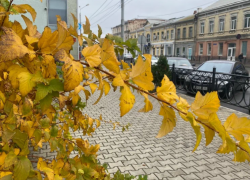 На астраханском рынке труда наступил высокий осенний сезон