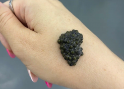 В России пресекают продажу китайской черной икры под видом астраханской