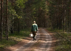 В Астраханской области гражданам придется покинуть леса до 30 мая