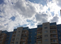 В Астрахани обнаружили животное, зараженное бешенством