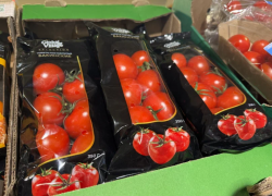 Банк России: активность астраханских сельхозпредприятий поддерживает спрос