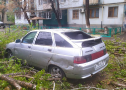 В Астрахани на улице Татищева дерево рухнуло на автомобиль ВАЗ 2112