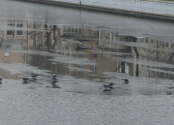 Астраханцам не могут назвать толщину льда на городских водоемах