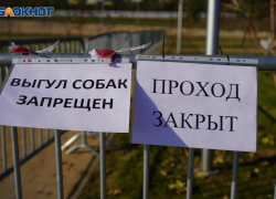 В Волге обнаружили патогенные микроорганизмы после коммунальной аварии в Волгограде