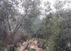 3 октября в Астрахани прогнозируют длительный дождь