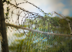 Двое подозреваемых задержаны по делу гибели 13-летнего астраханца в аквапарке