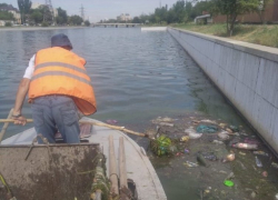 С поверхности астраханских каналов собрали десятки тонн мусора